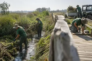 En fin de matinée, sous un soleil dur, des gardes d’un espace naturel curent un fossé et réparent une passerelle en bois